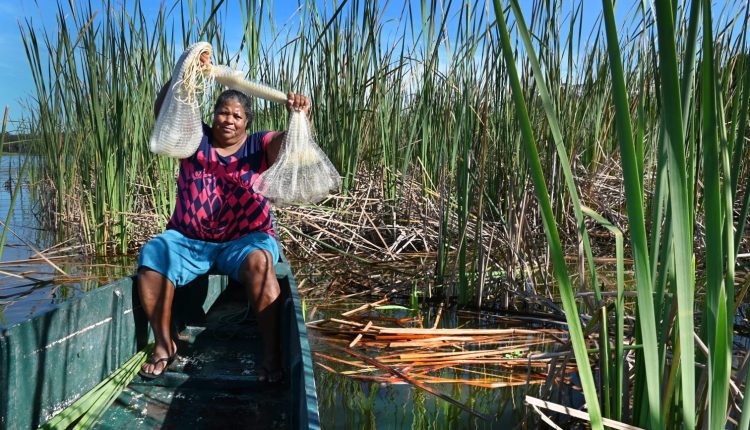 Arte e Tradição: websérie documental celebra artesanato em taboa de Mãe-Bá