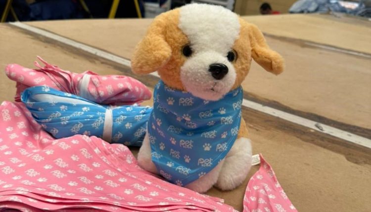 Cachorrinho de pelúcia vestindo uma bandana azul com letras brancas. Em volta, várias bandanas rosa e azul empilhadas