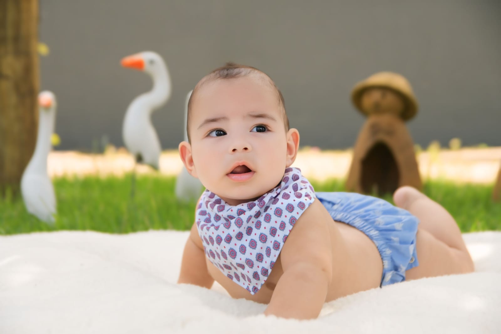 Foto de bebê deitada de barriga para baixo e olhando para a câmera em um cobertor branco esticado na grama